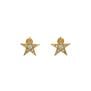 Mini star stud earrings